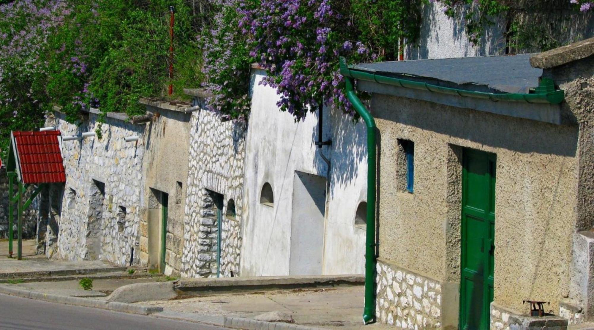 Bed and Breakfast Fenyo Panzio Mezőkövesd Zewnętrze zdjęcie