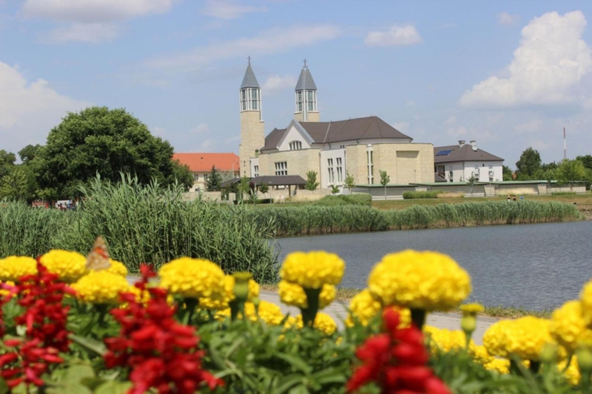 Bed and Breakfast Fenyo Panzio Mezőkövesd Zewnętrze zdjęcie