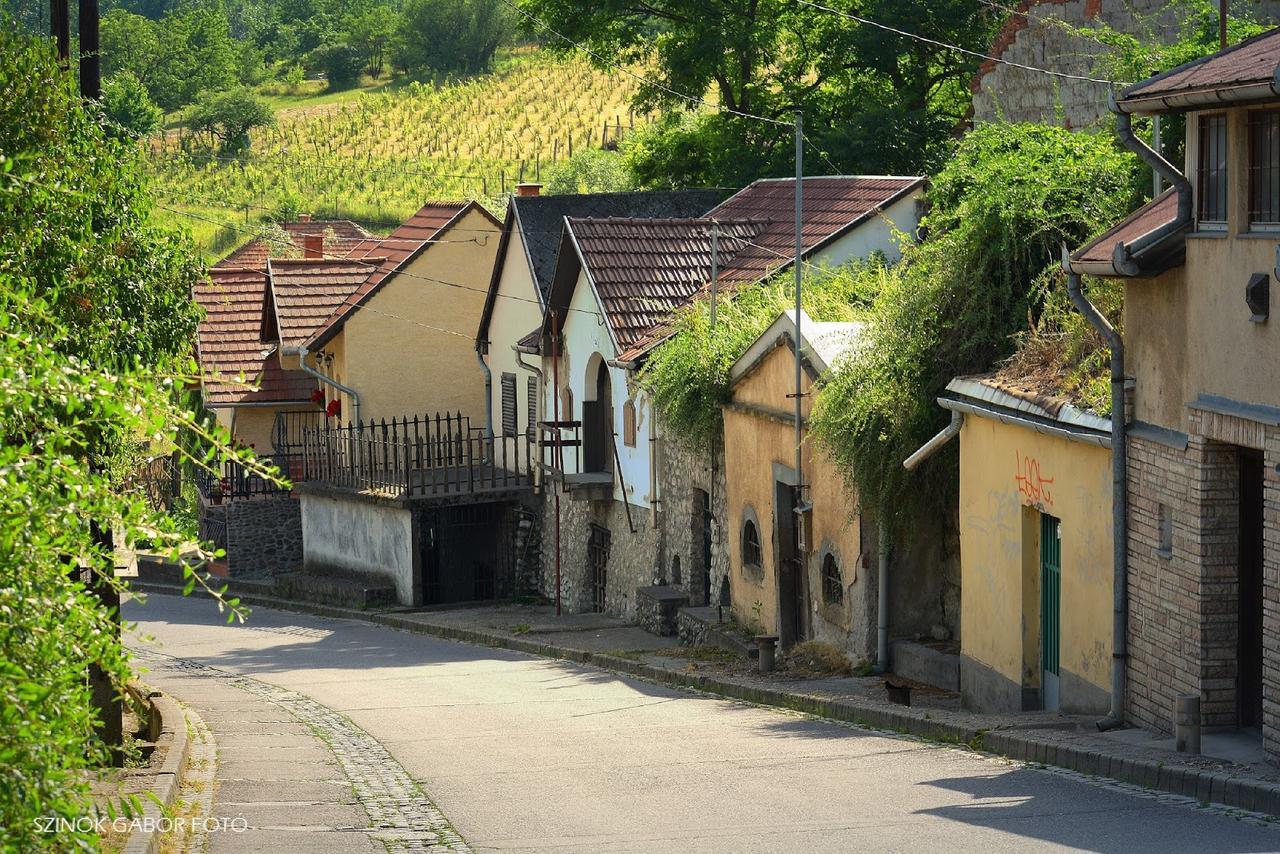 Bed and Breakfast Fenyo Panzio Mezőkövesd Zewnętrze zdjęcie